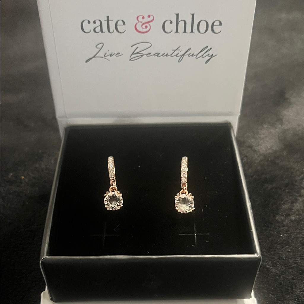Cate Chloe Mckenzie Rose Gold Drop Earrings Nib 35$